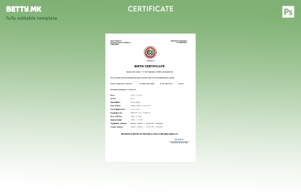 модерен стил Парагвајски извод од матичната книга на родените Шаблон за Word и P